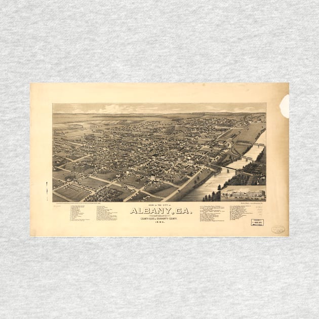 Vintage Pictorial Map of Albany Georgia (1885) by Bravuramedia